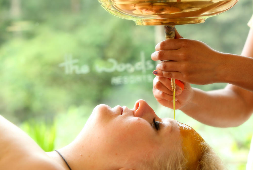 The Woods Resorts Wayanad Sultan Bathery Bagian luar foto