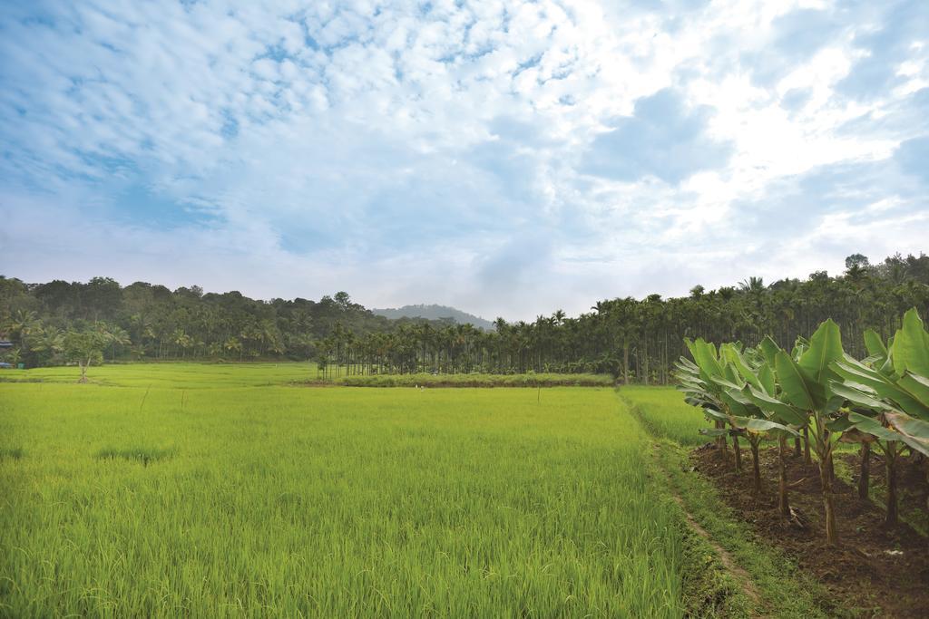 The Woods Resorts Wayanad Sultan Bathery Bagian luar foto