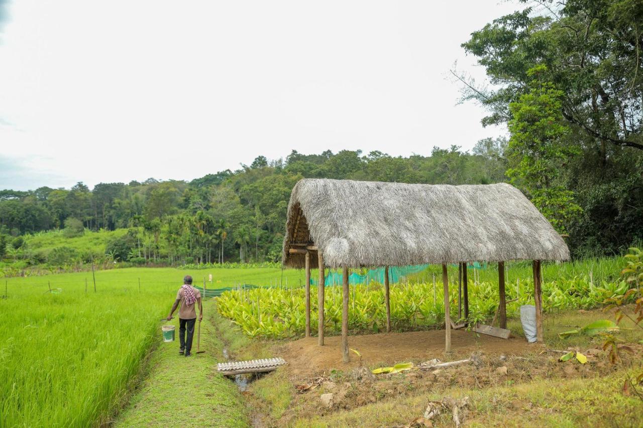 The Woods Resorts Wayanad Sultan Bathery Bagian luar foto