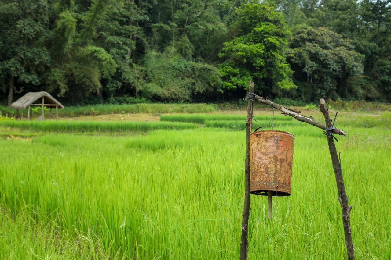 The Woods Resorts Wayanad Sultan Bathery Bagian luar foto