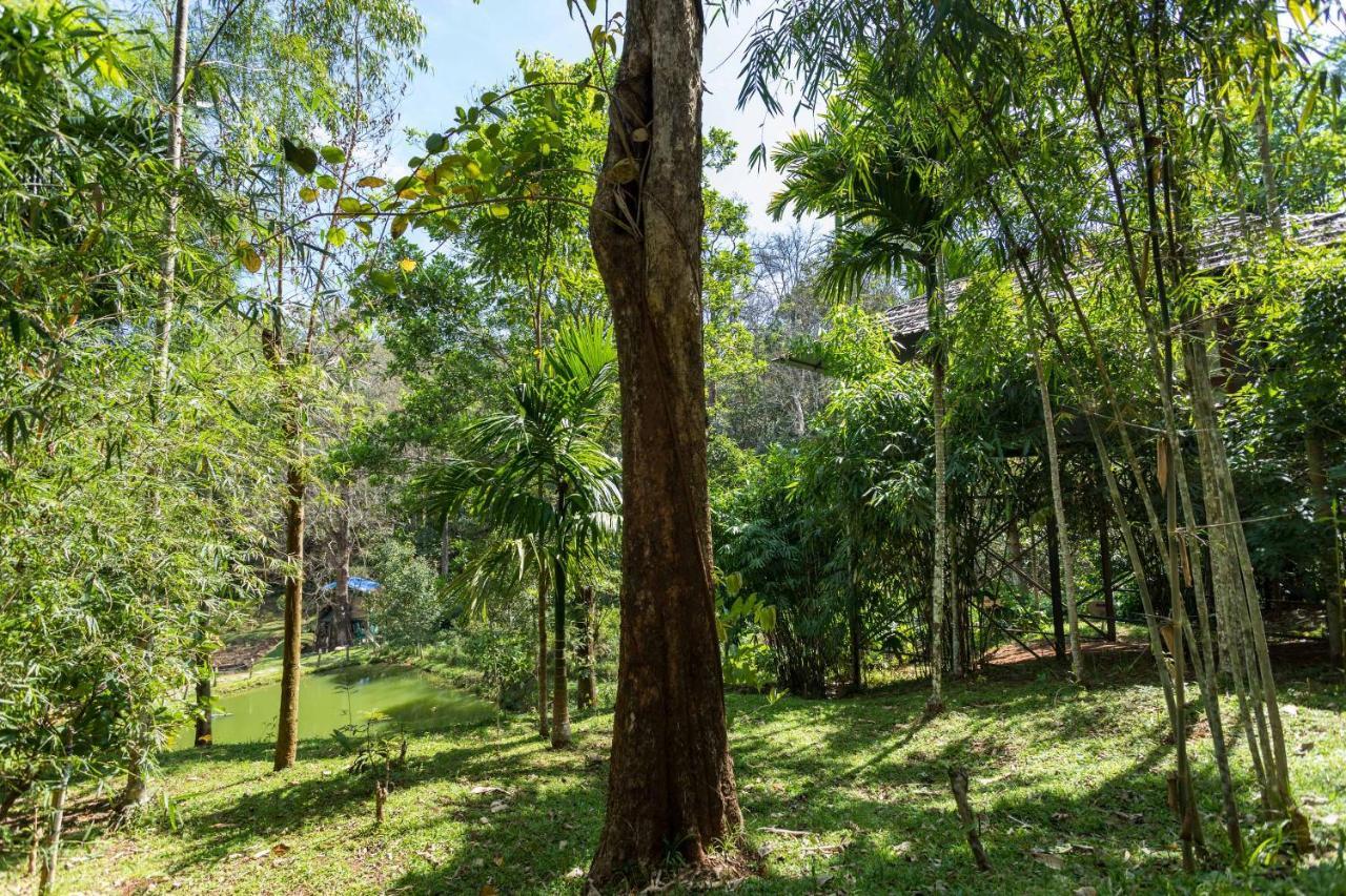 The Woods Resorts Wayanad Sultan Bathery Bagian luar foto